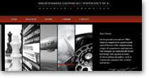 portfolio website preview